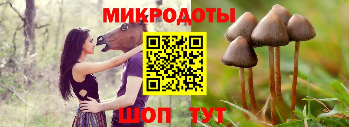 Городец  где продают наркотики  Псилоцибиновые грибы MAGIC MUSHROOMS  Вход с VPN  Галлюциногенные грибы MAGIC MUSHROOMS 
