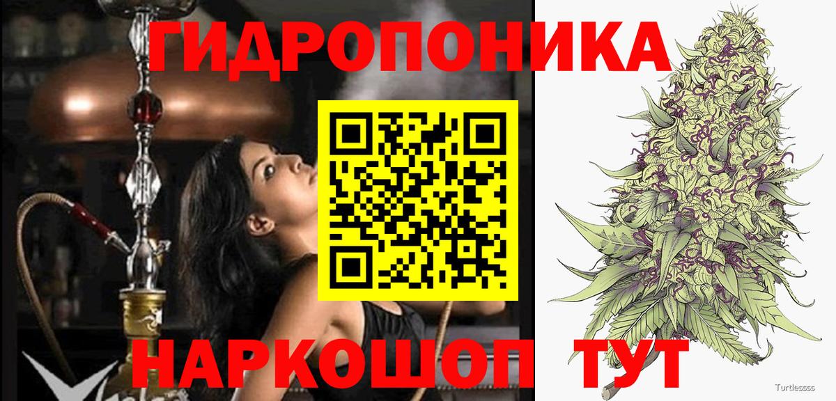Городец  Шишки марихуана White Widow  Бошки Шишки план  Вход с VPN  Каннабис индика 